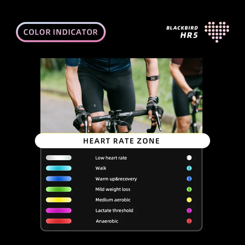 HR5 Armband Heart Rate Monitor